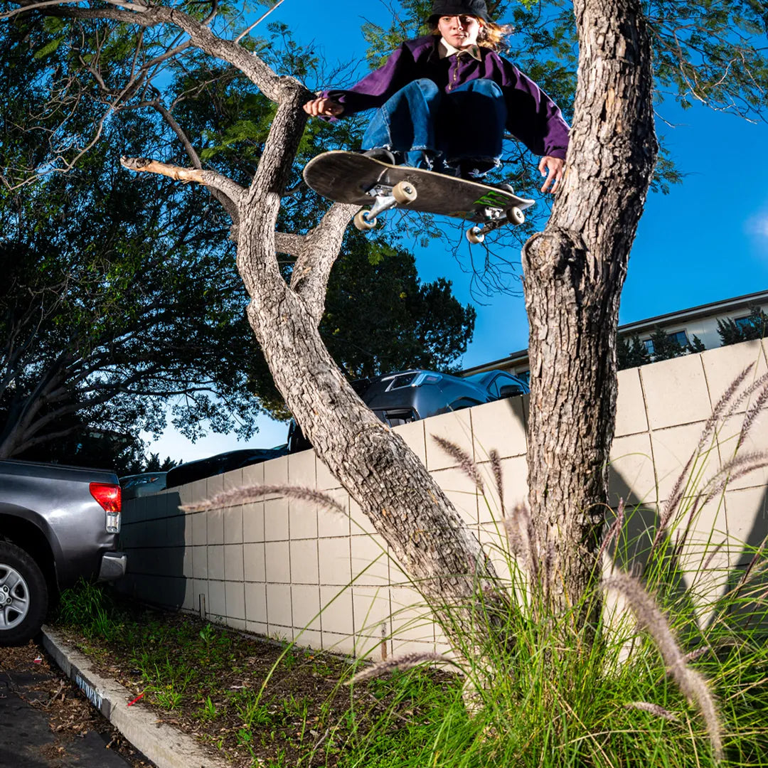 Etnies Purple Skate Shoes – Locut Vulc x Werka
