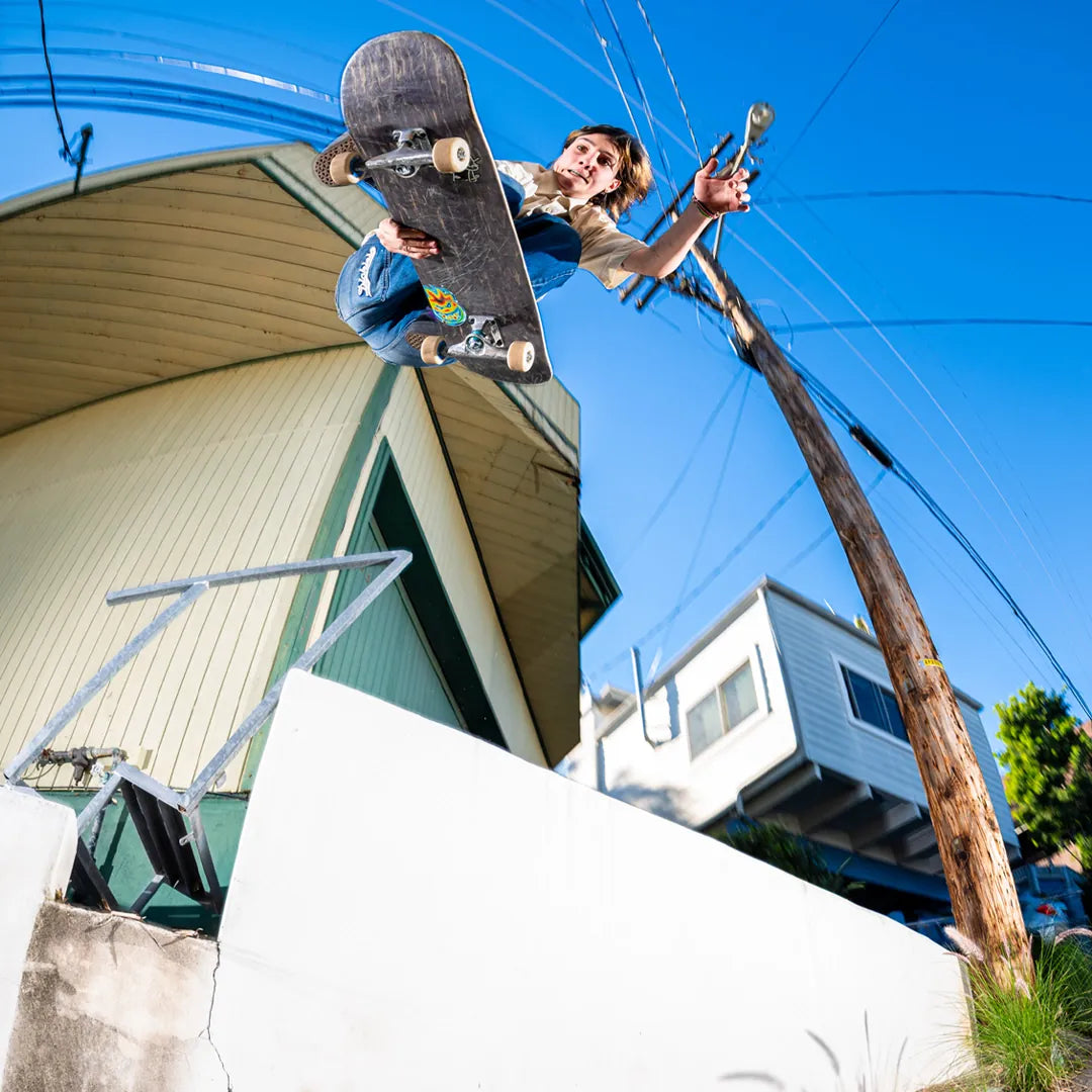 Etnies Purple Skate Shoes – Locut Vulc x Werka