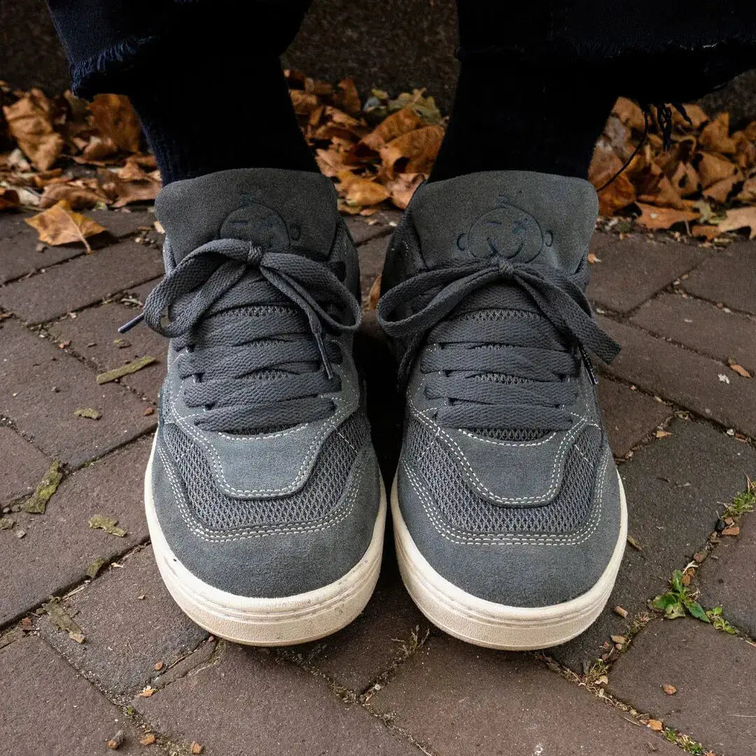 Etnies Snake Low - Top Skate Shoe Dark Grey